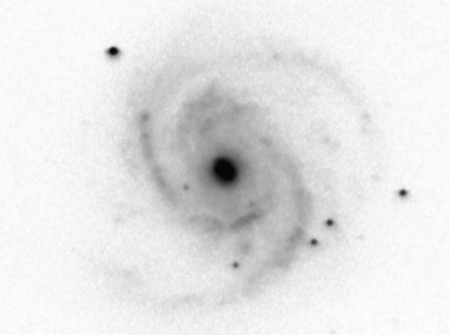 NGC 4321.jpg